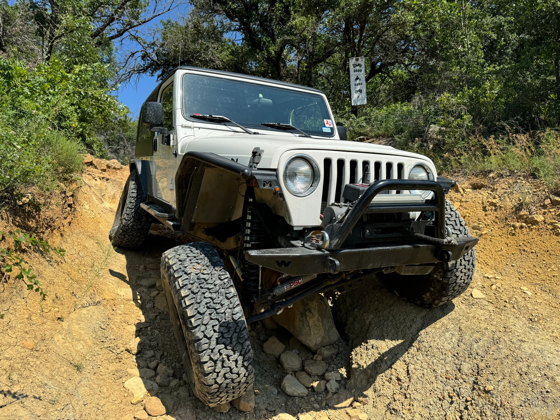 Betty White LJ photo 1