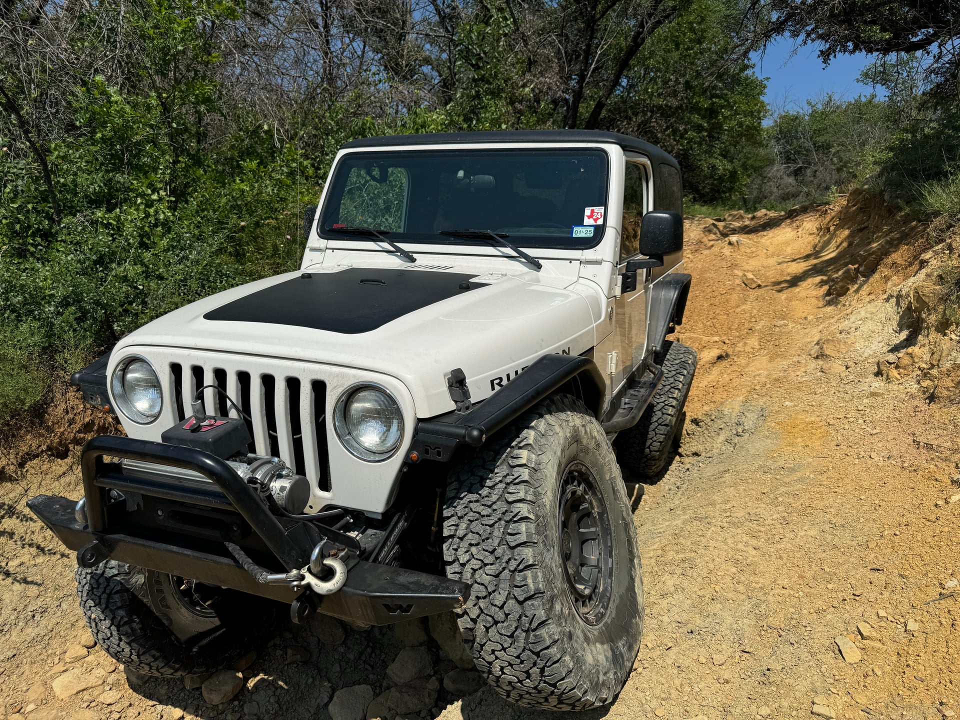 Betty White LJ photo 2