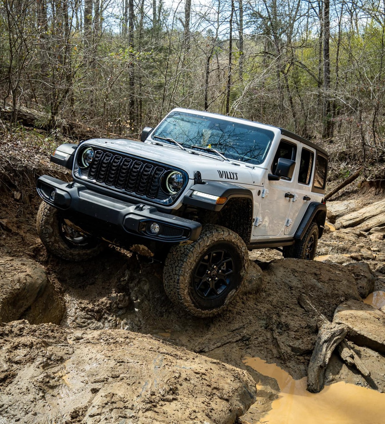 TylerVanderwel photo 1