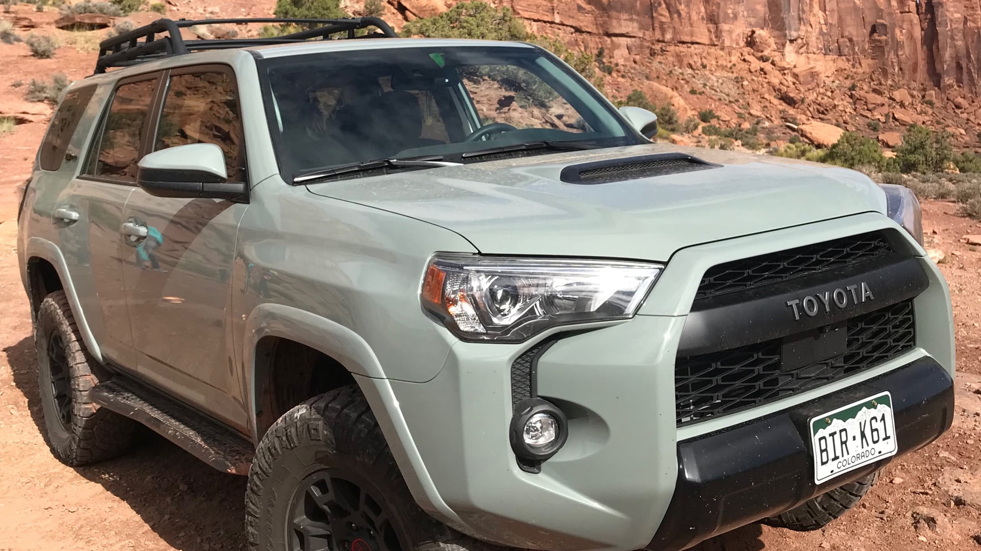 Chubby Rhino photo 1