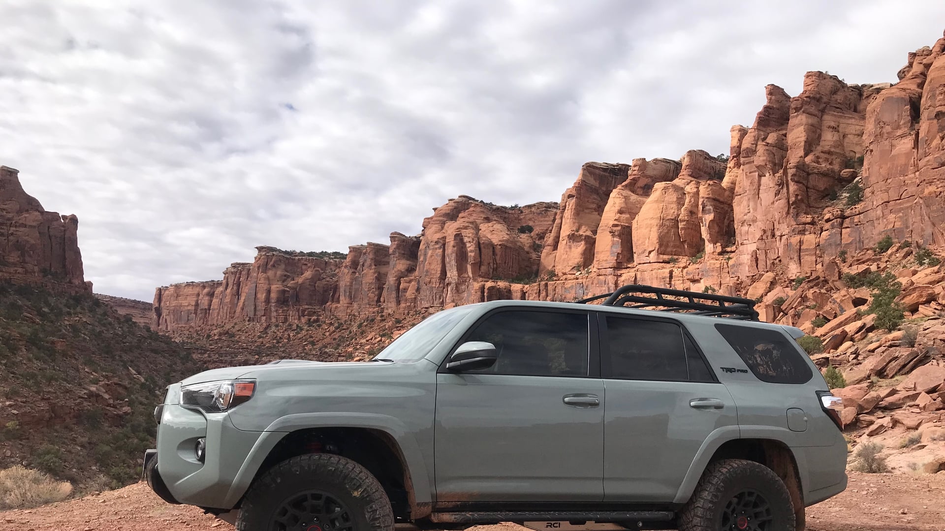 Chubby Rhino photo 3