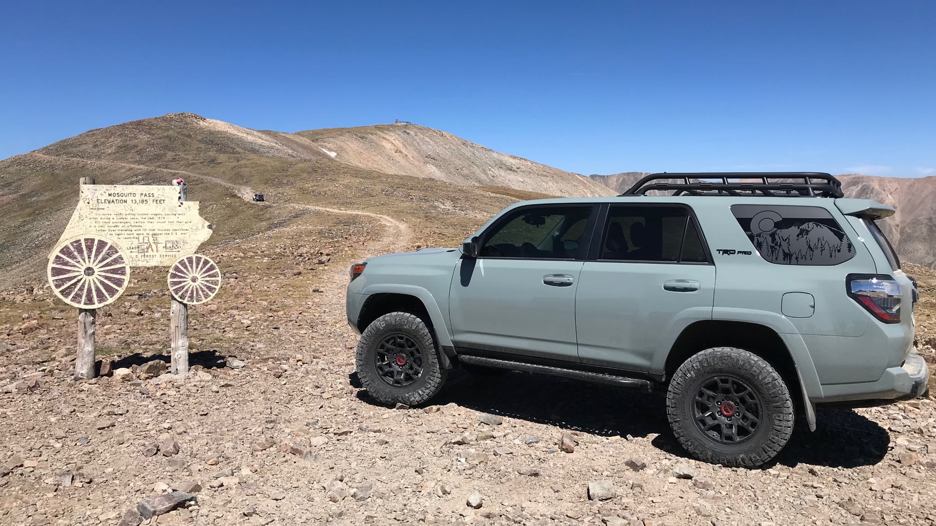 Chubby Rhino photo 7