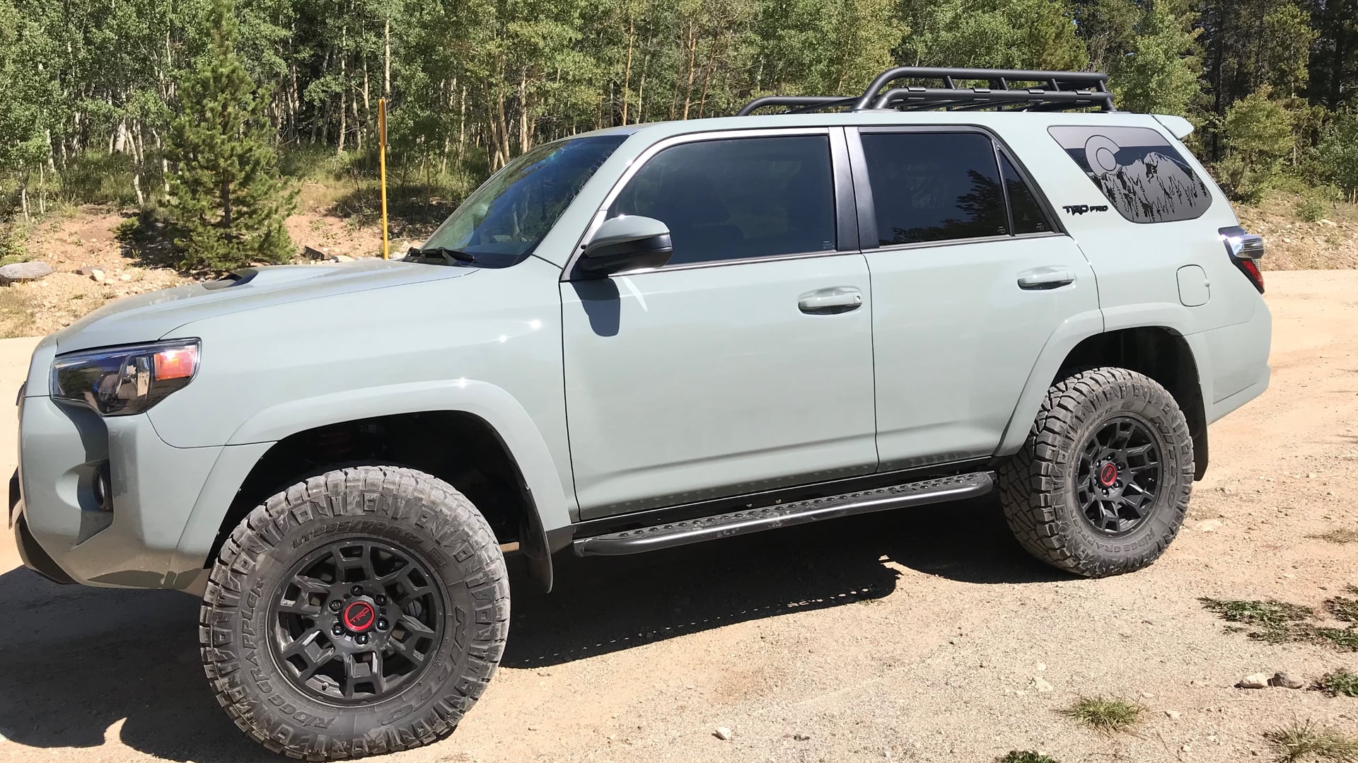 Chubby Rhino photo 6