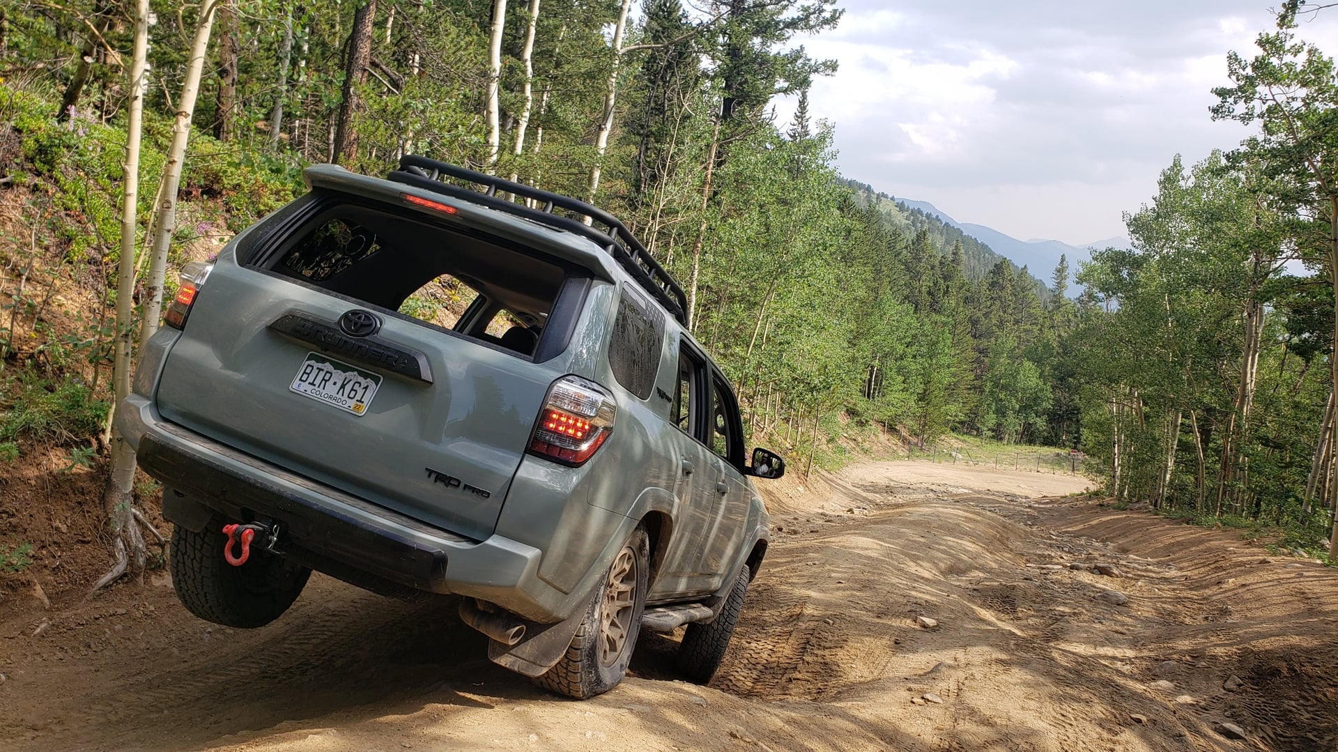 Chubby Rhino photo 4