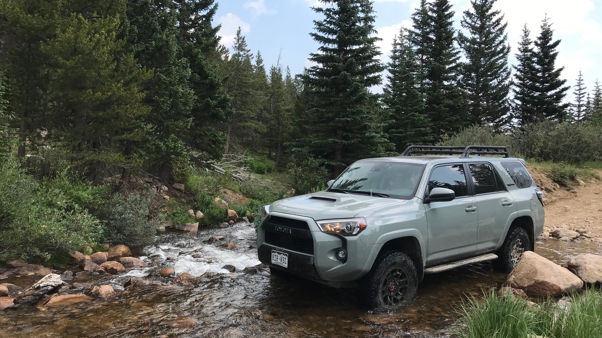 Chubby Rhino photo 5