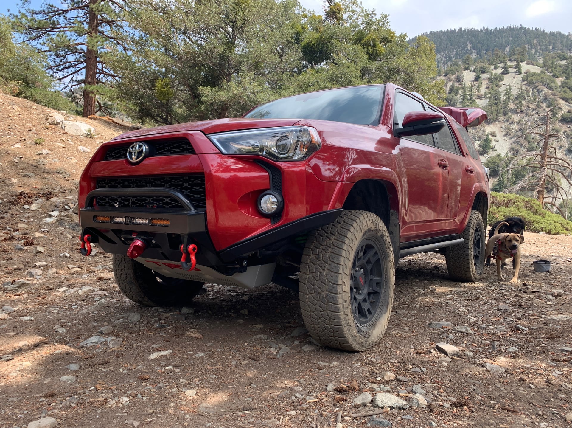 Red Leader, a 2018 Toyota 4Runner, photo 11 of 16