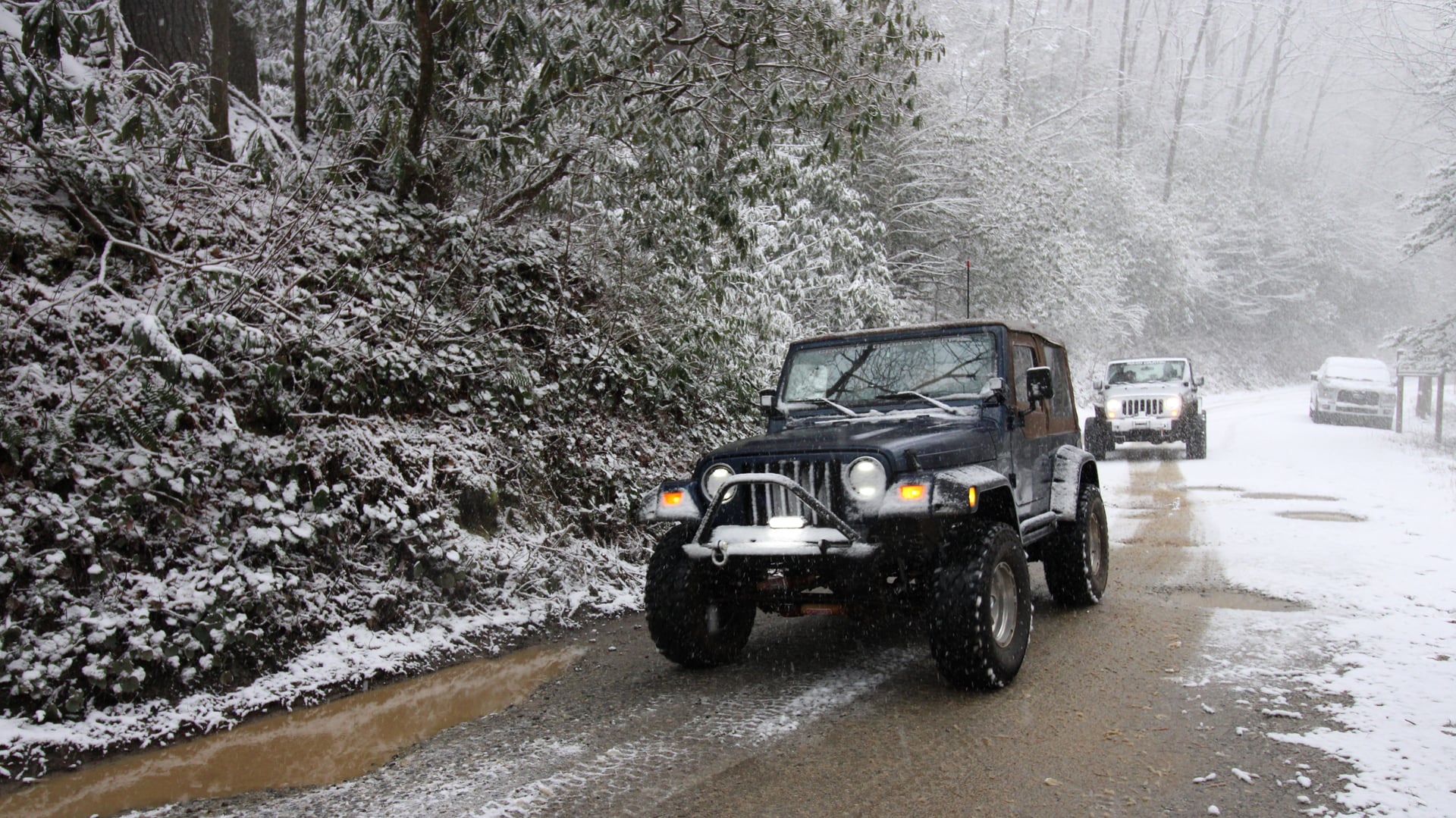 That Blue TJ photo 12