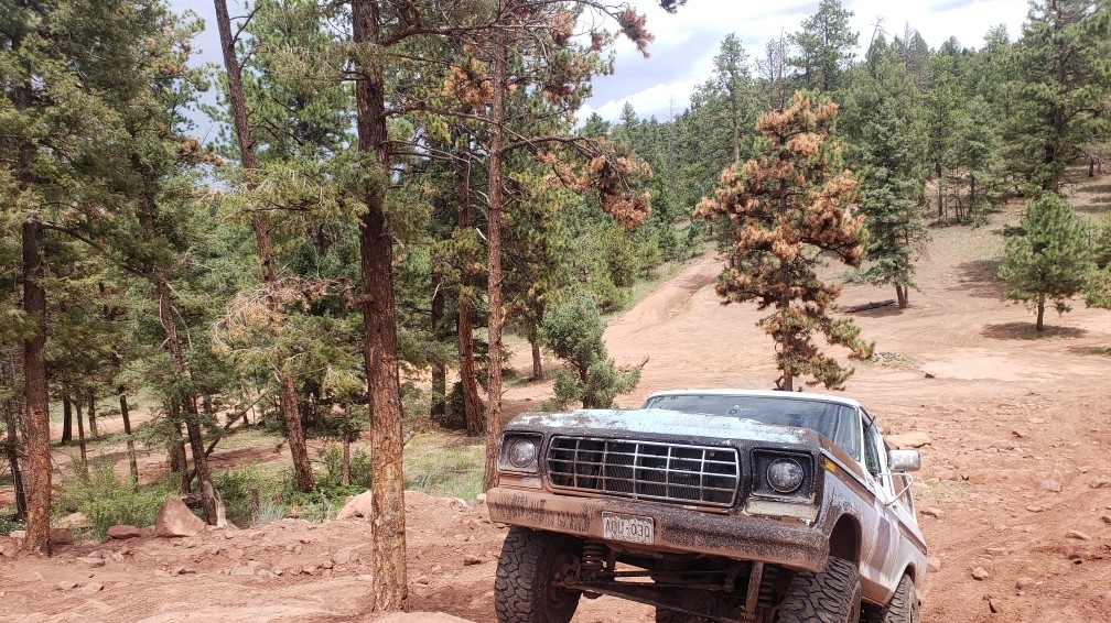 PappaSmurf, a 1978 Ford Bronco, photo 27 of 36