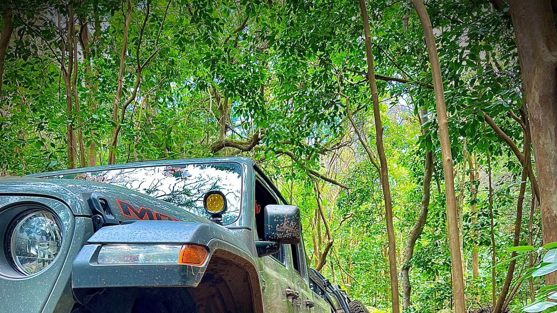 Mexicon 2.0 photo 21