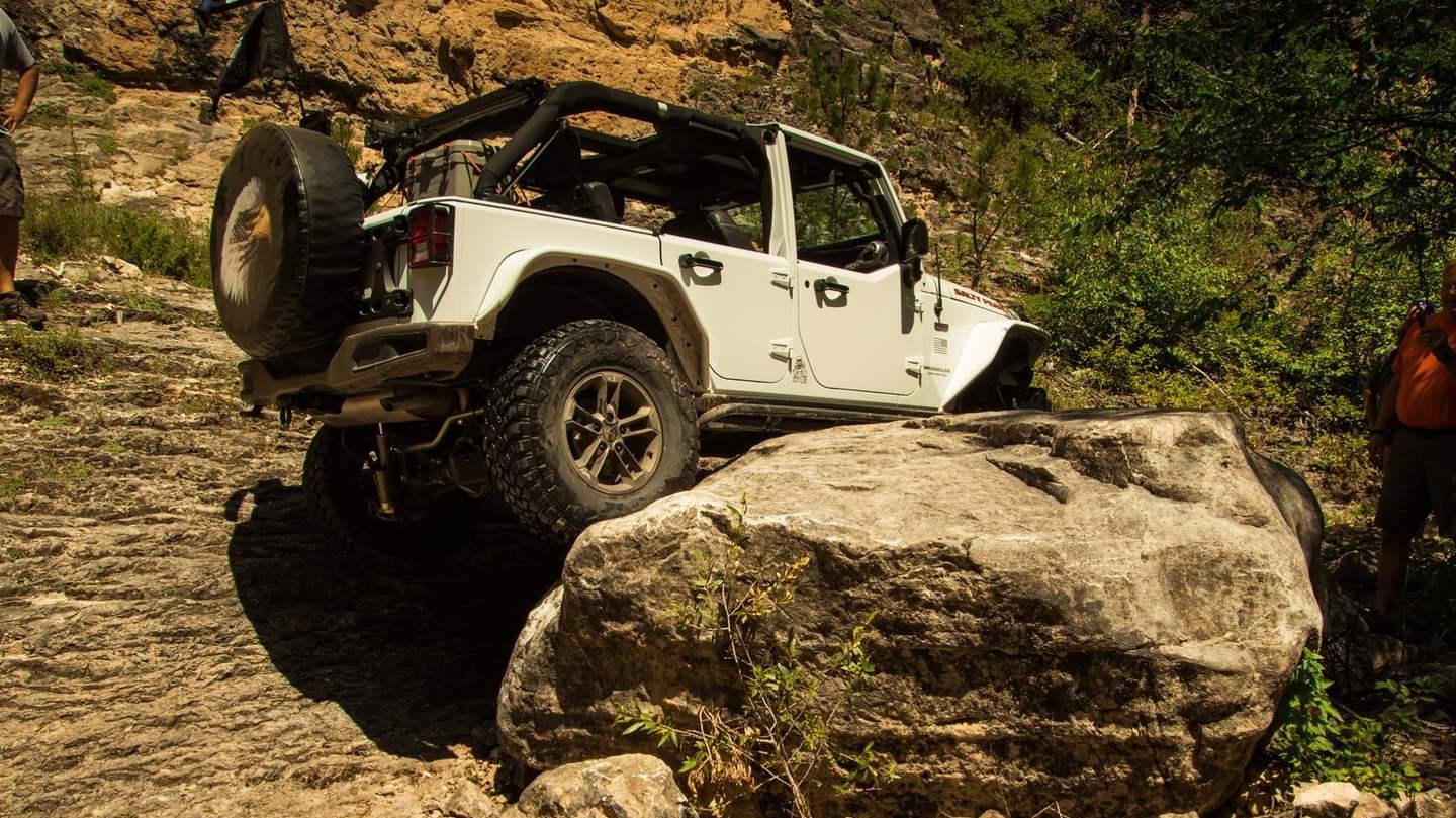 Salty Pearl photo 17