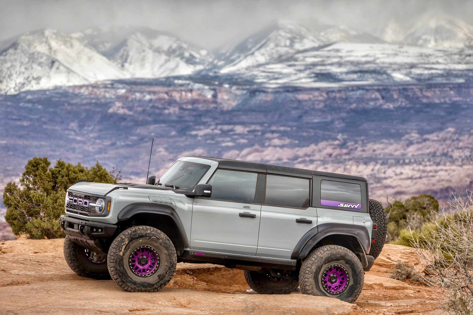 Braptor, a 2022 Ford Bronco, photo 10 of 16