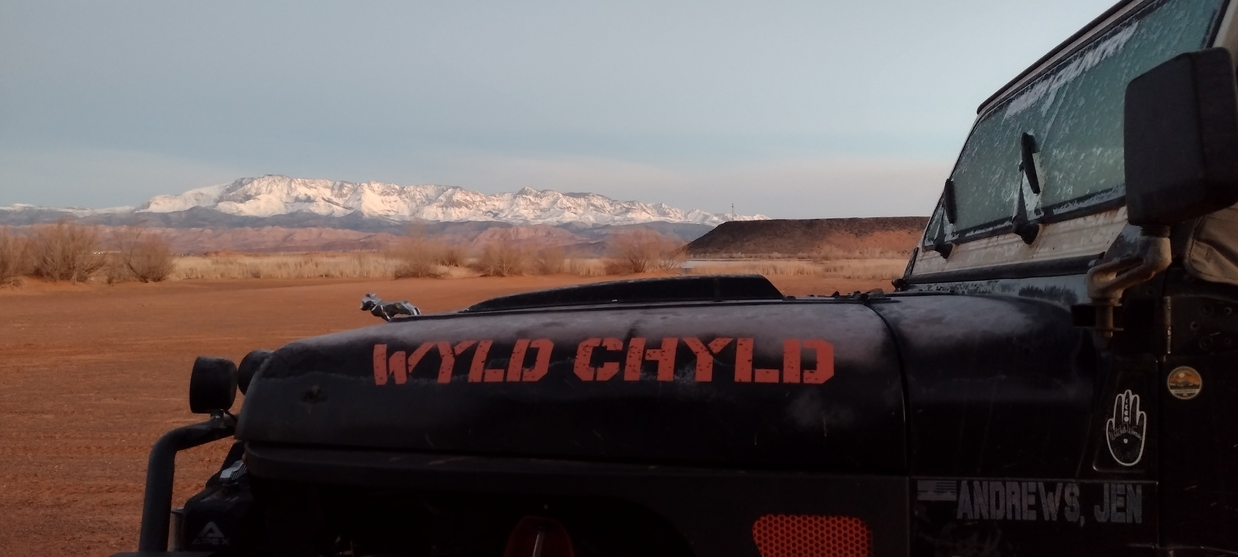 Wyld Chyld 4.6l V8 YJ-Ultimate photo 26
