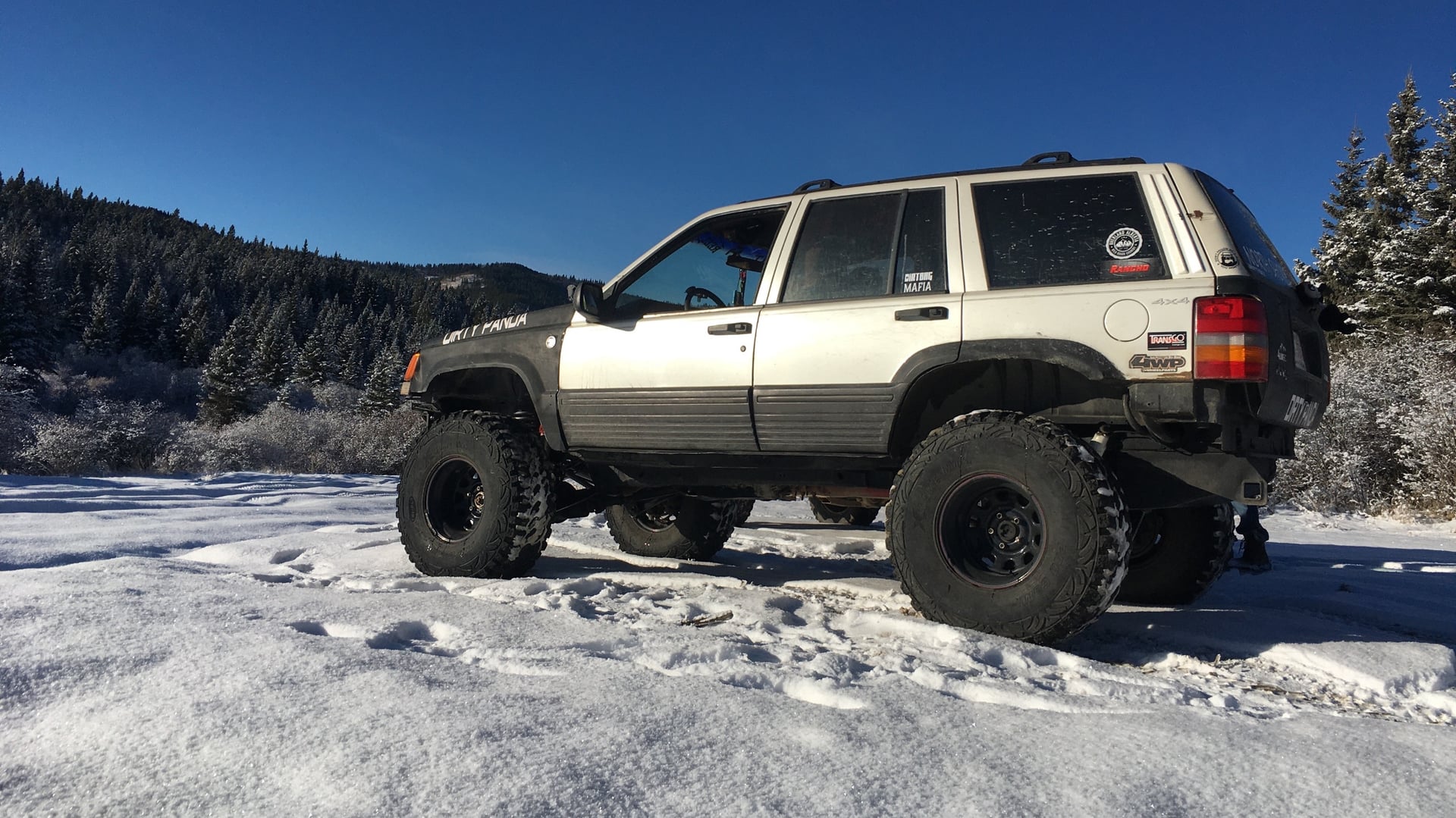 Dirty Panda photo 17