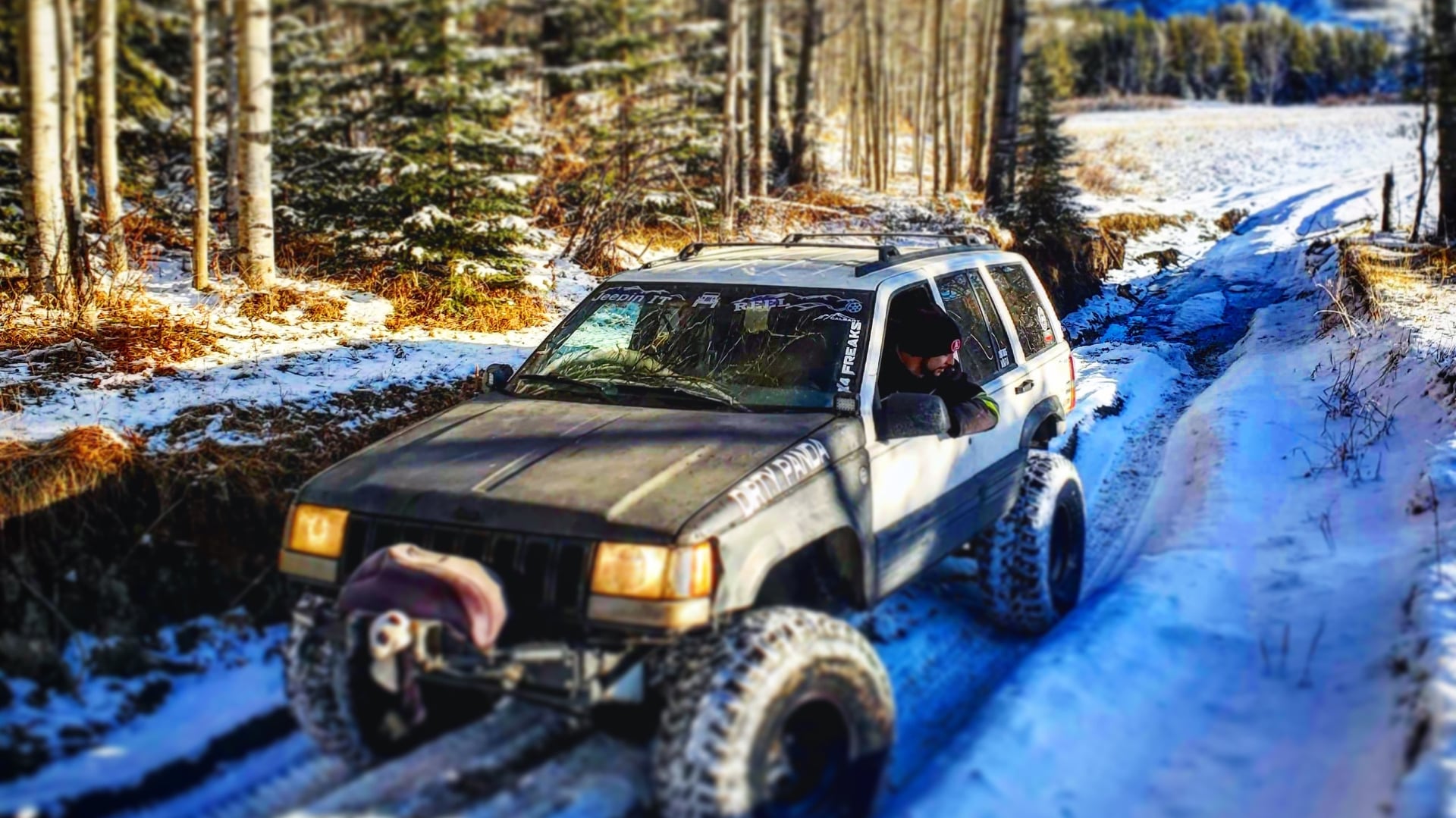 Dirty Panda photo 16