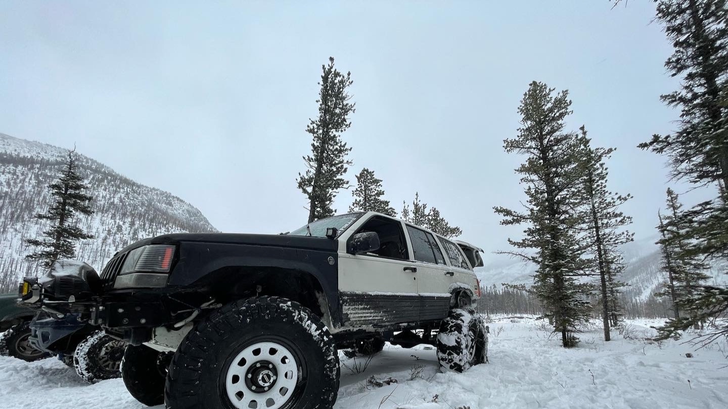 Dirty Panda photo 12