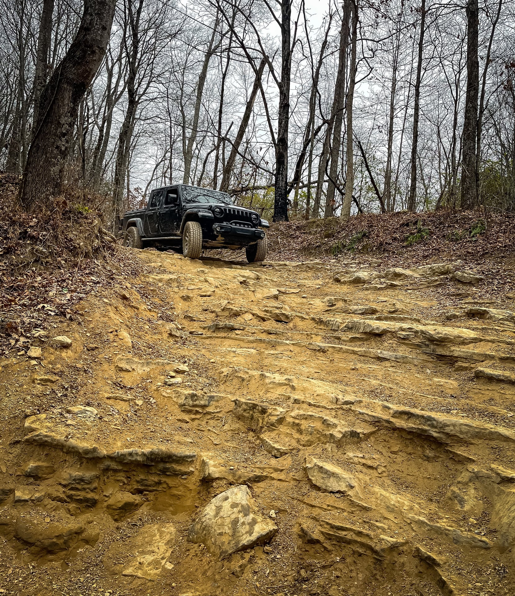 Sarge502Jeep photo 32