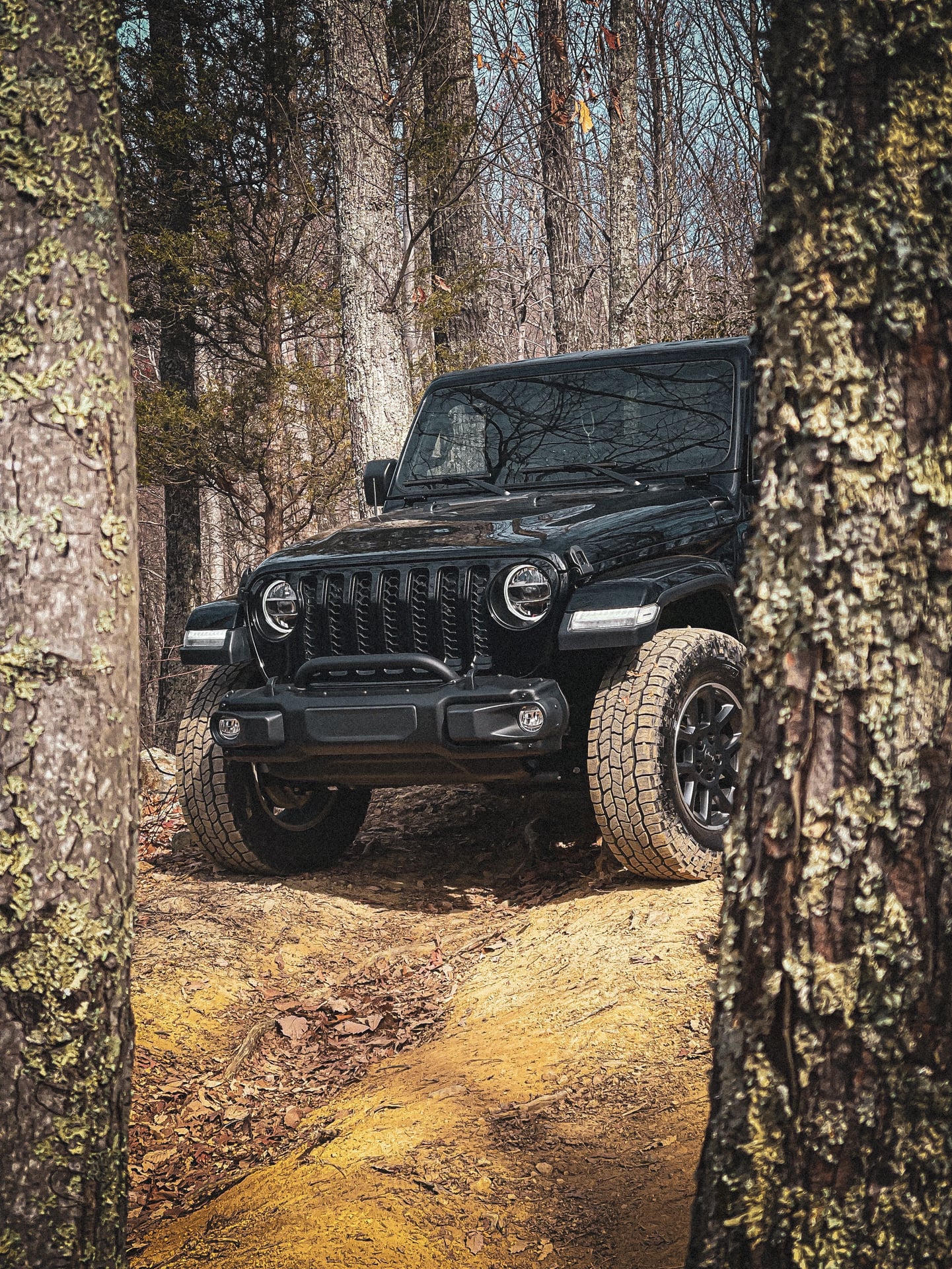 Sarge502Jeep photo 34