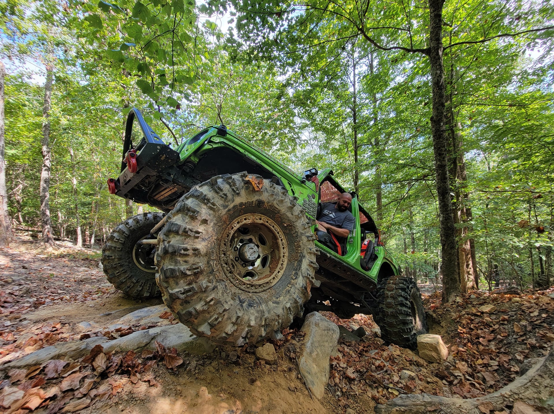 Green With Envy JL photo 35