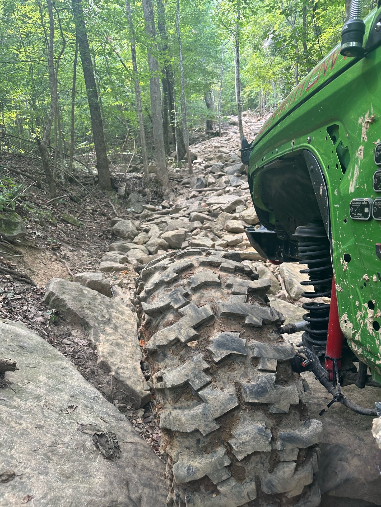 Green With Envy JL photo 37