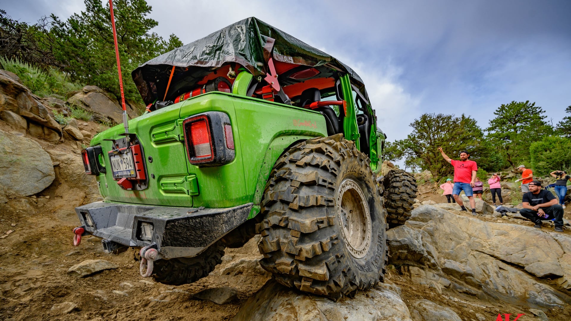 Green With Envy JL photo 13