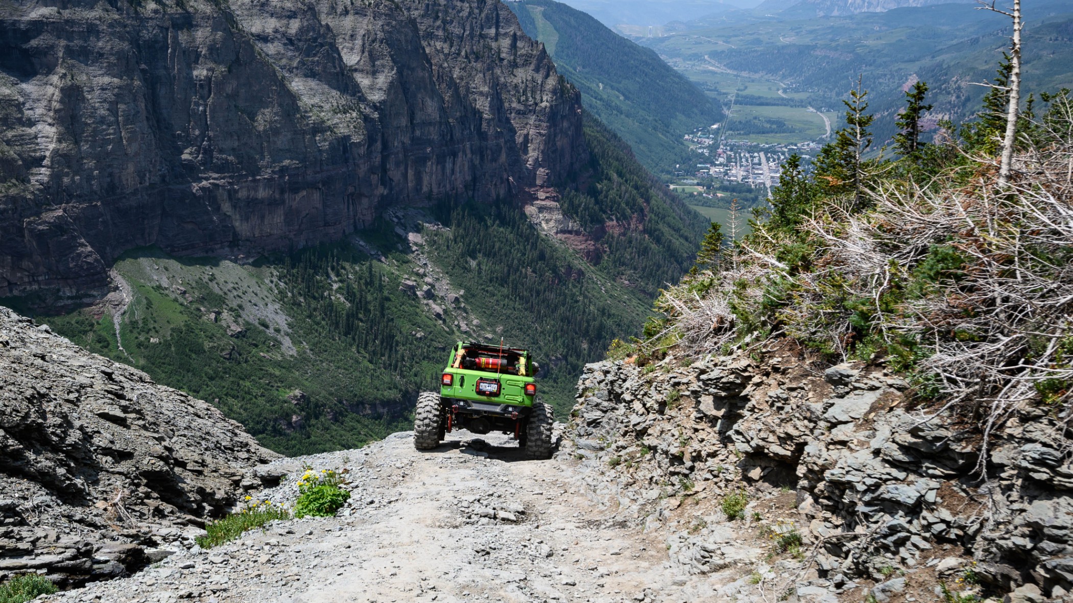 Green With Envy JL photo 15