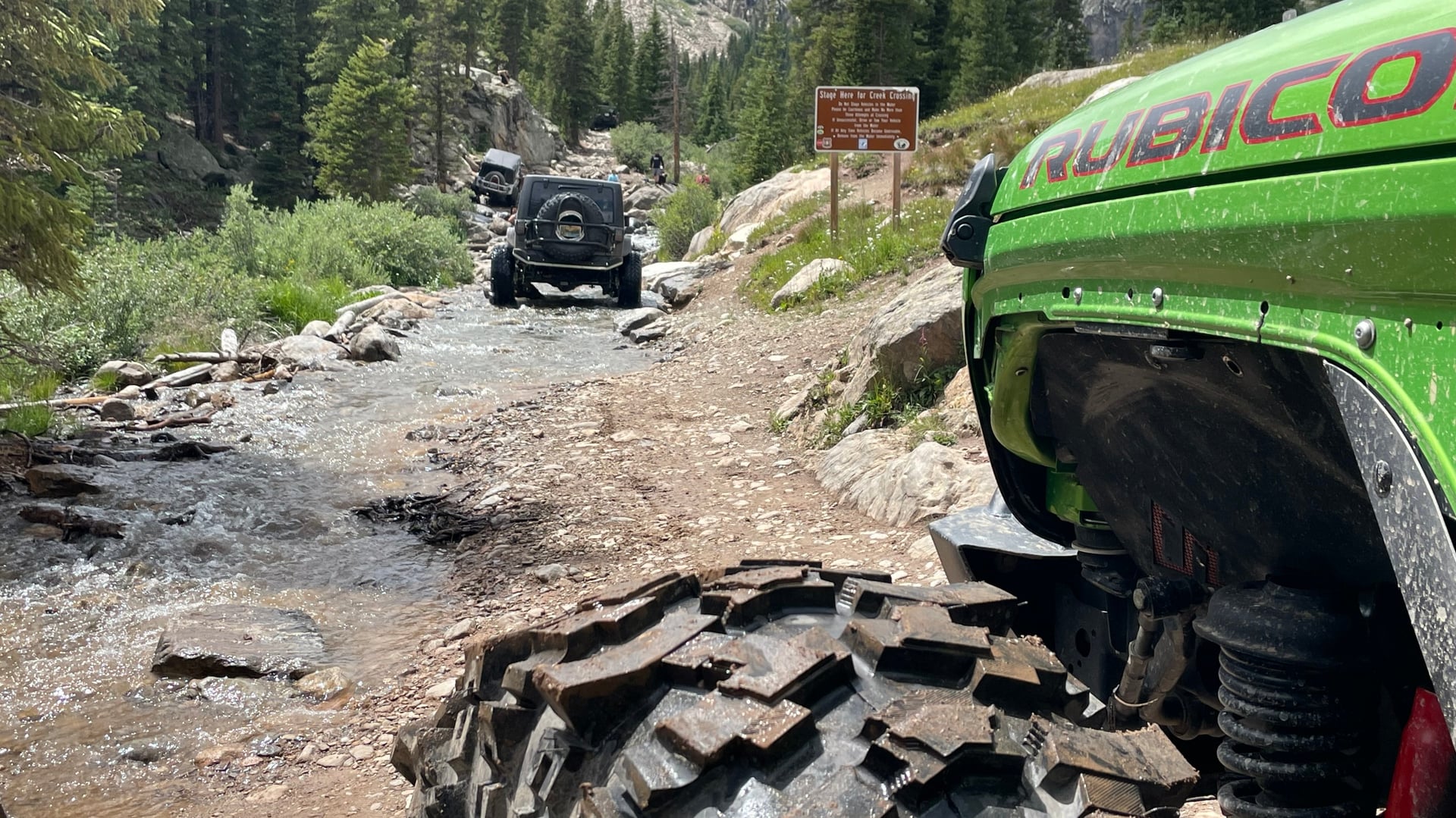 Green With Envy JL photo 17