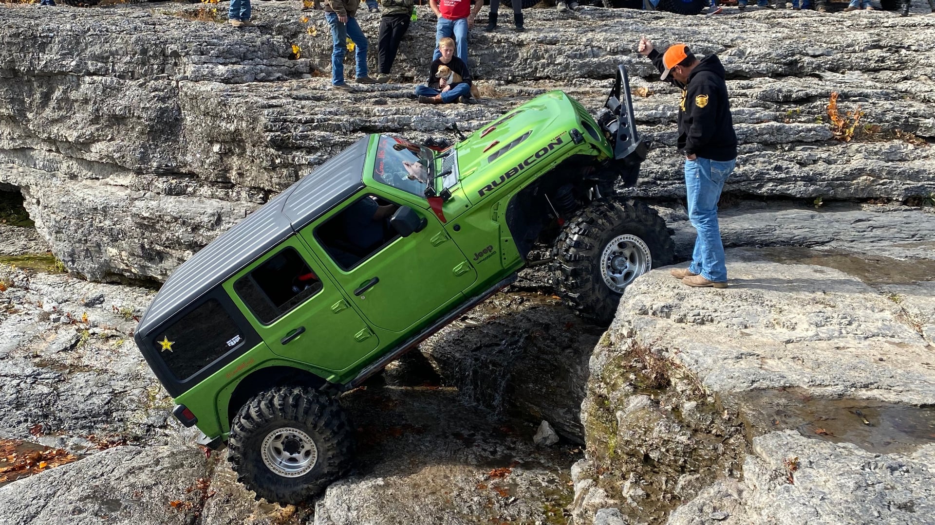 Green With Envy JL photo 24