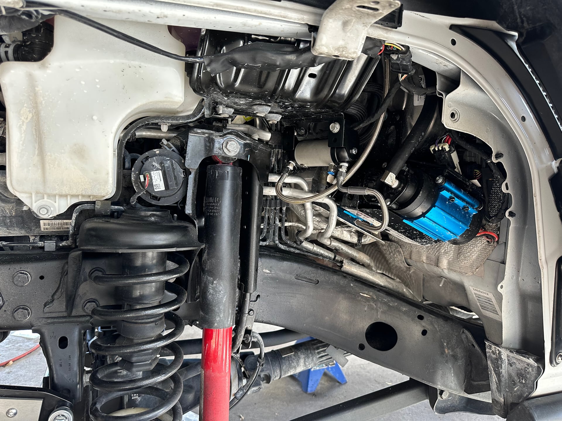 CptFloridaMan photo 11