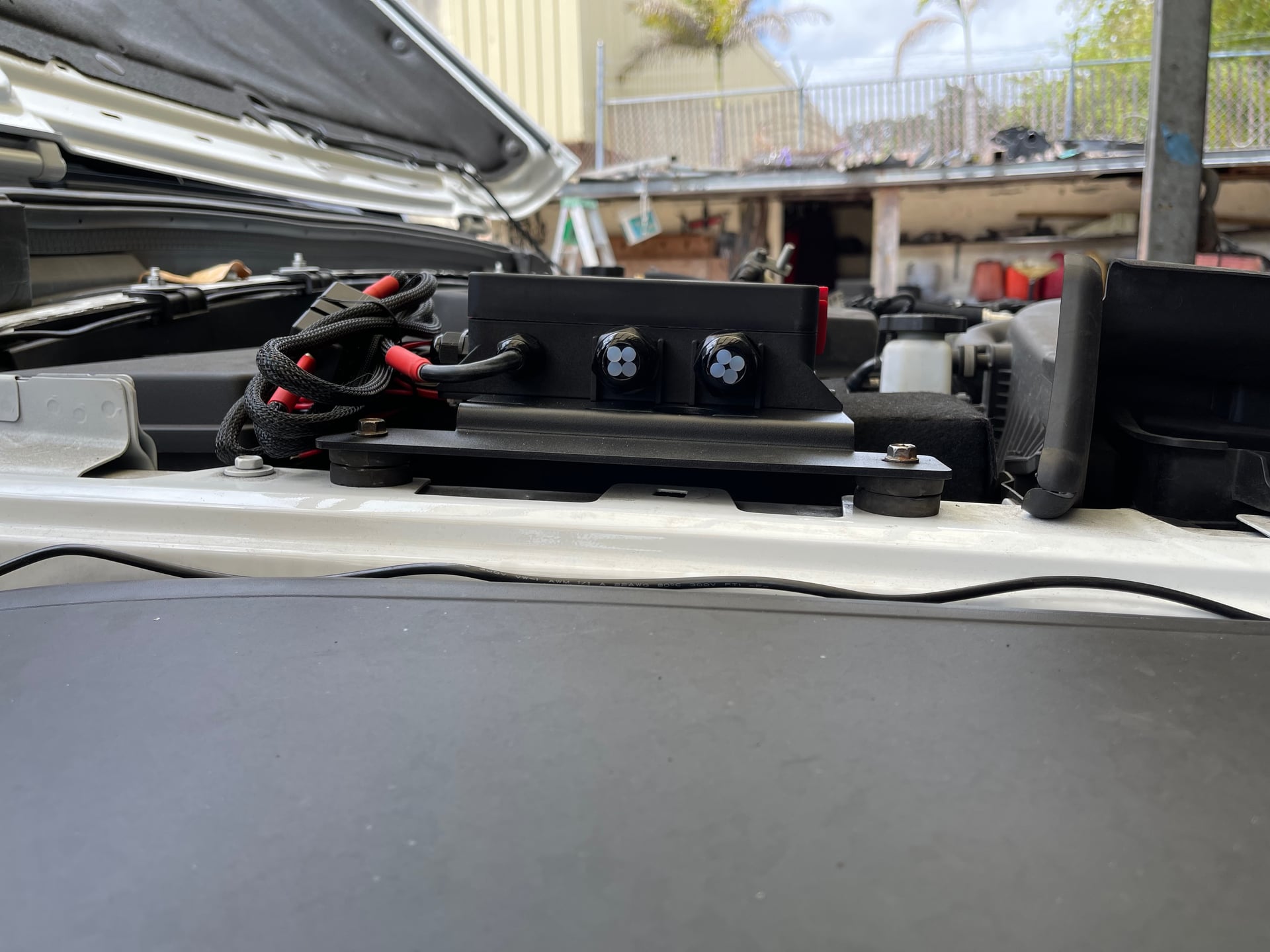 CptFloridaMan photo 23