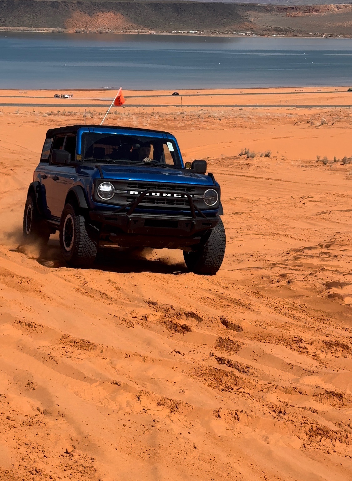 Rocky Mountain bronco photo 14