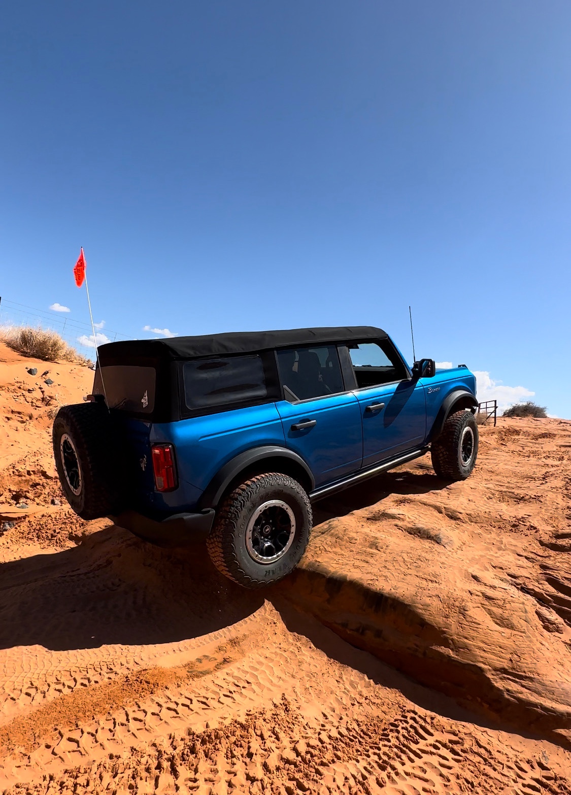 Rocky Mountain bronco photo 15