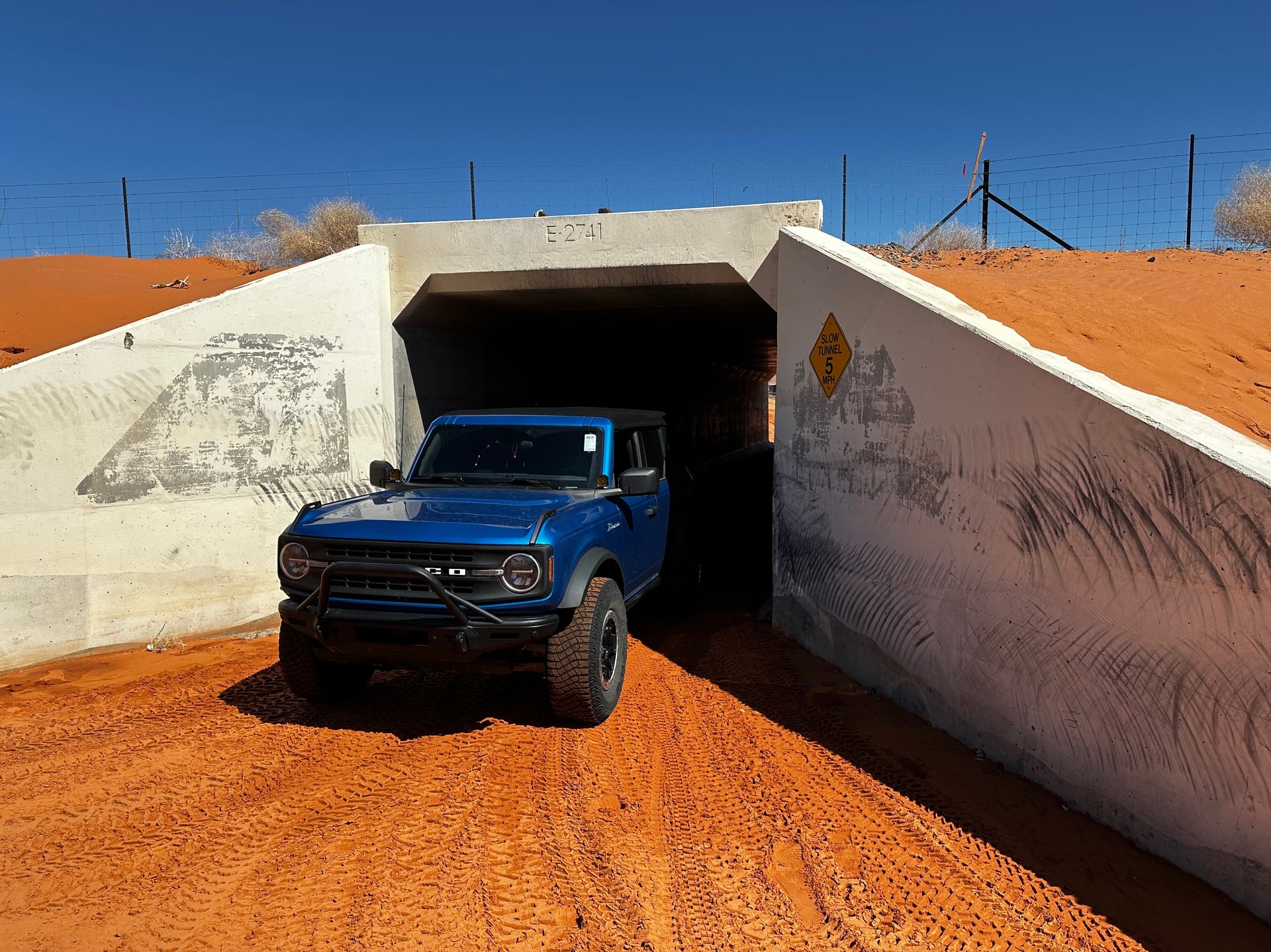 Rocky Mountain bronco photo 16