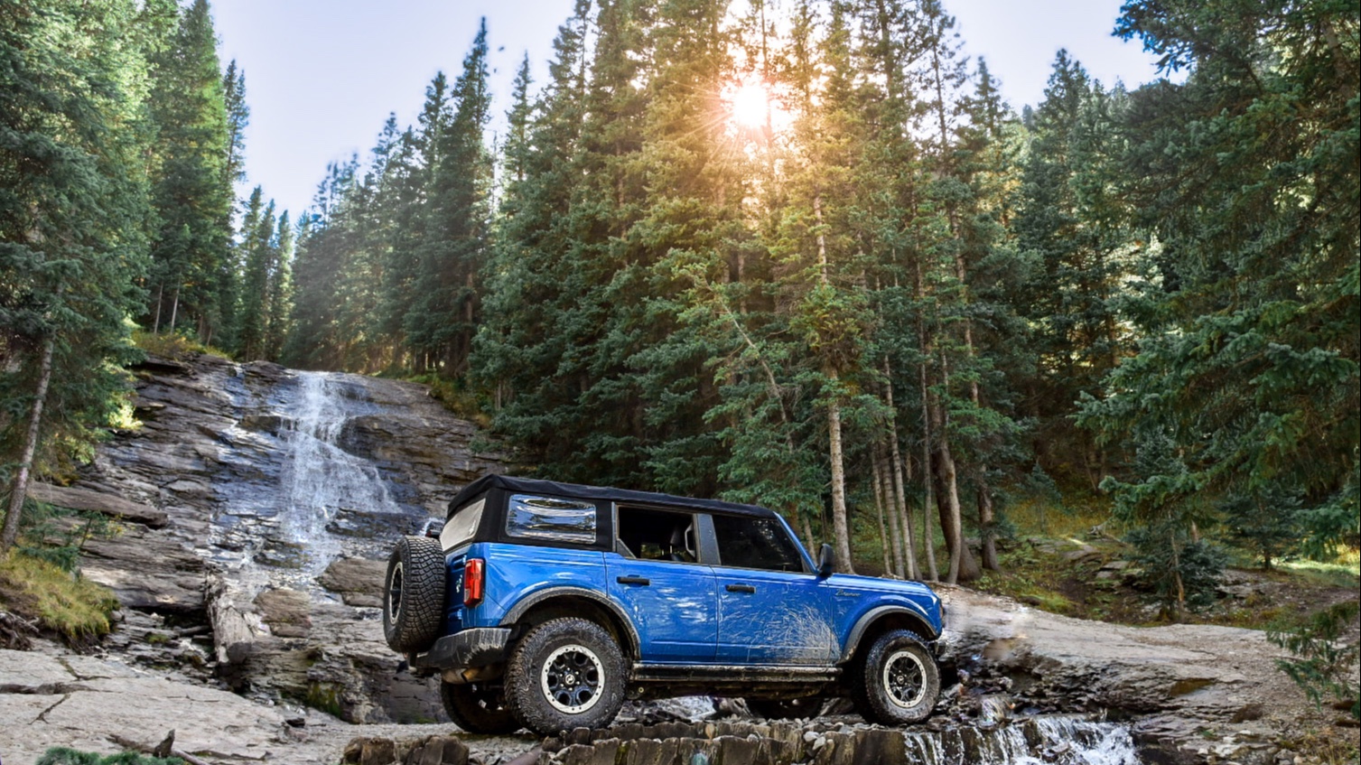 Rocky Mountain bronco photo 2