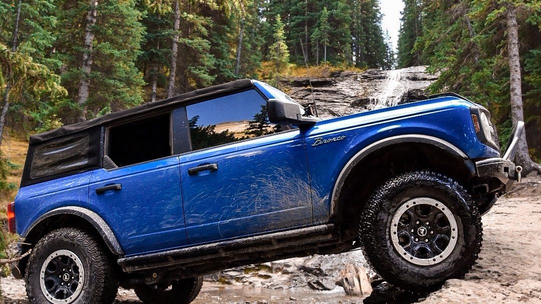 Rocky Mountain bronco photo 3