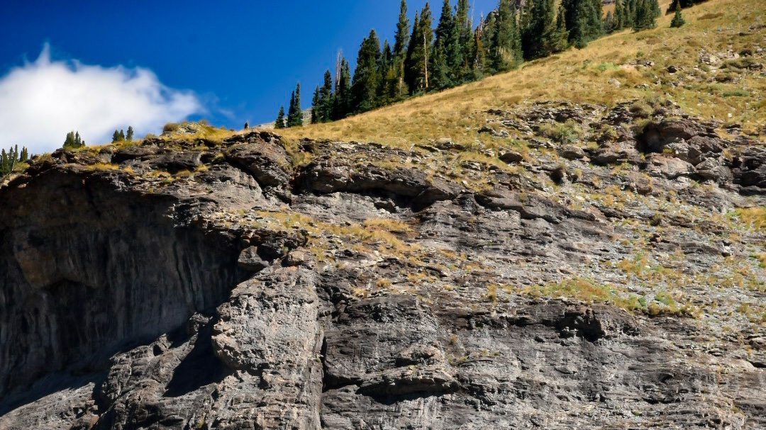 Rocky Mountain bronco photo 5