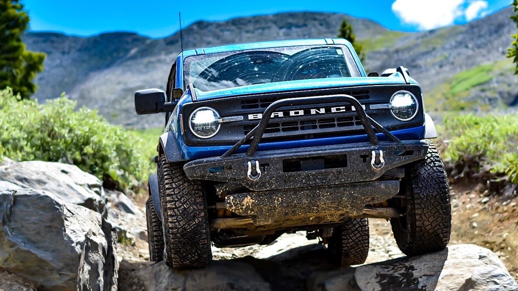 Rocky Mountain bronco photo 6