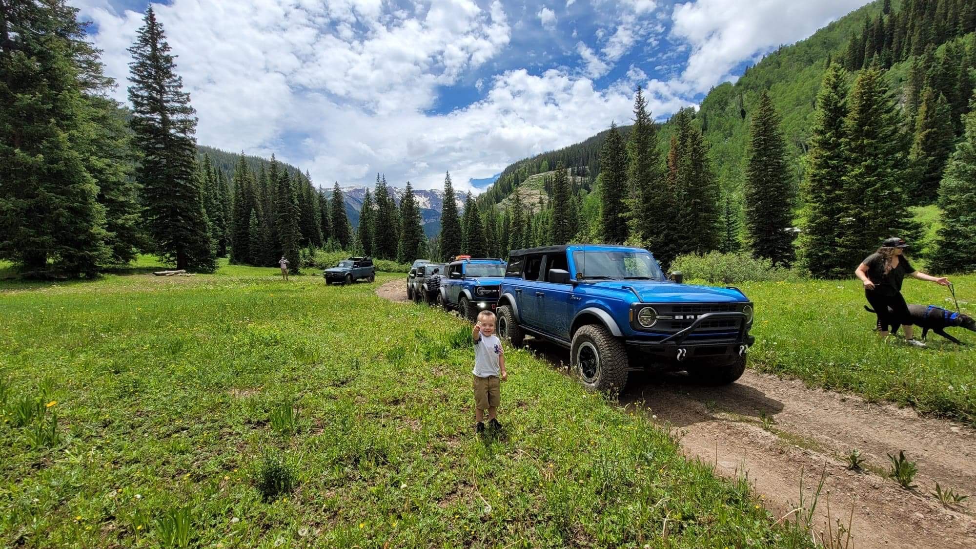 Rocky Mountain bronco photo 7