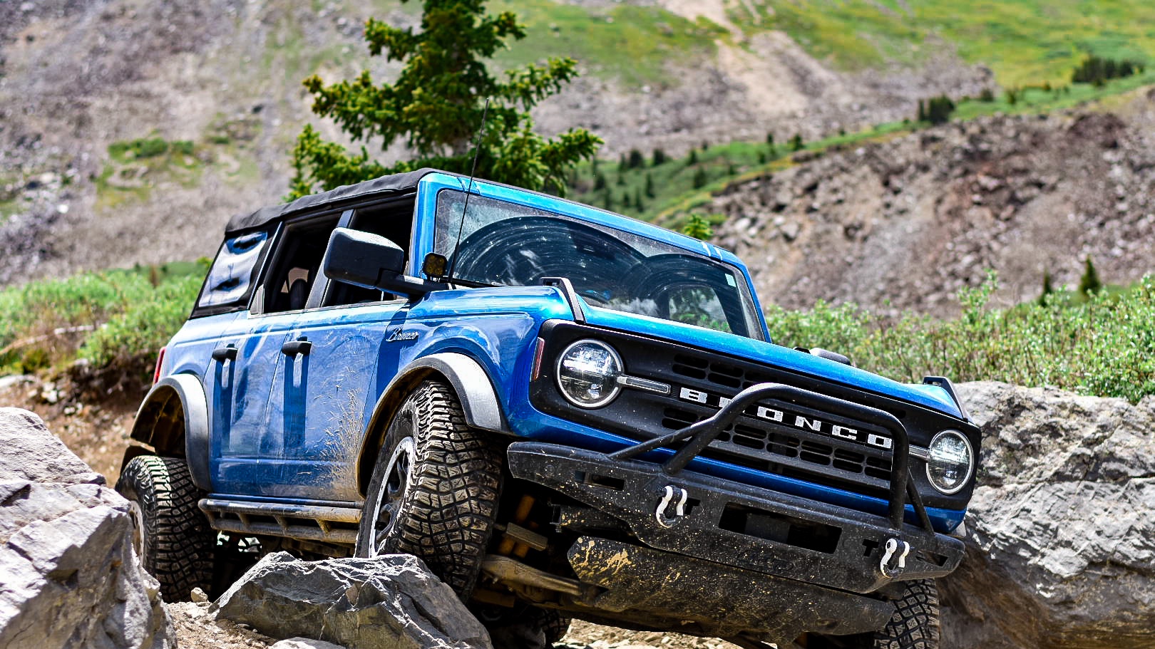 Rocky Mountain bronco photo 8