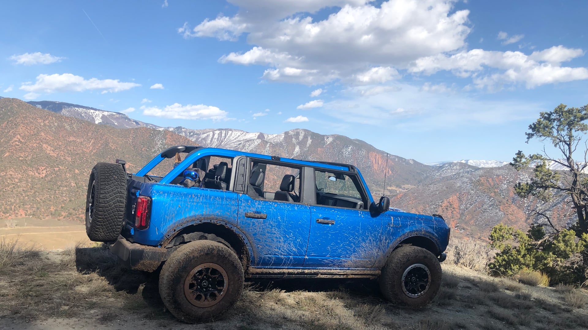 Rocky Mountain bronco photo 9