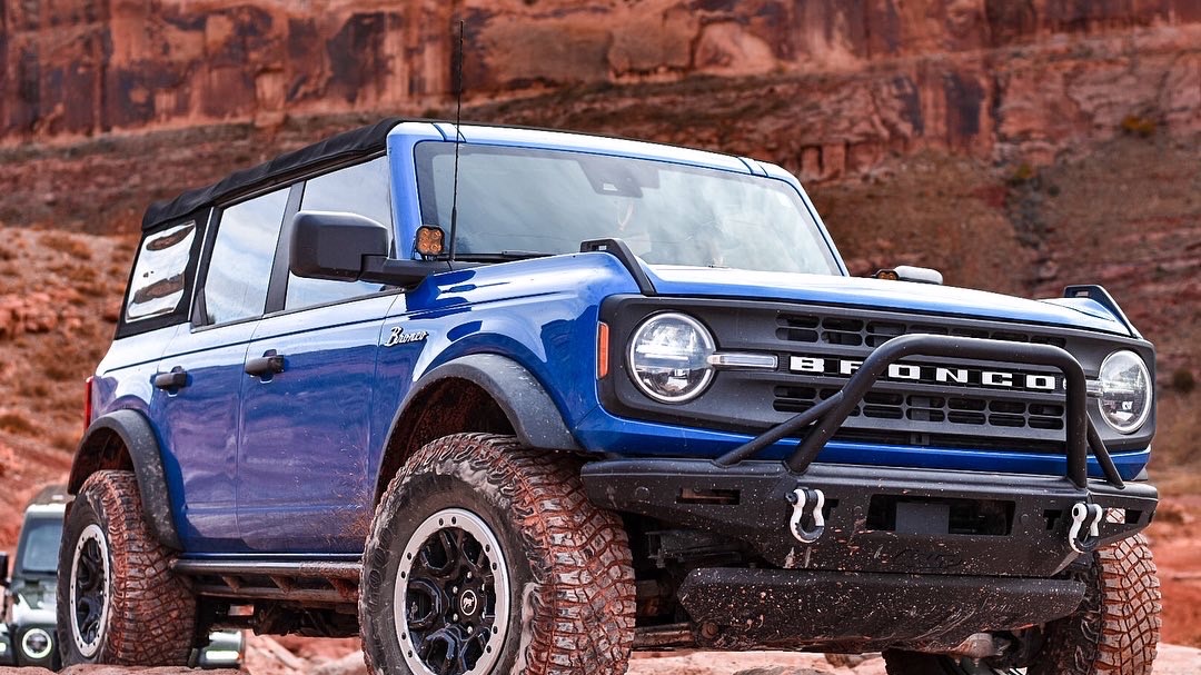 Rocky Mountain bronco photo 12