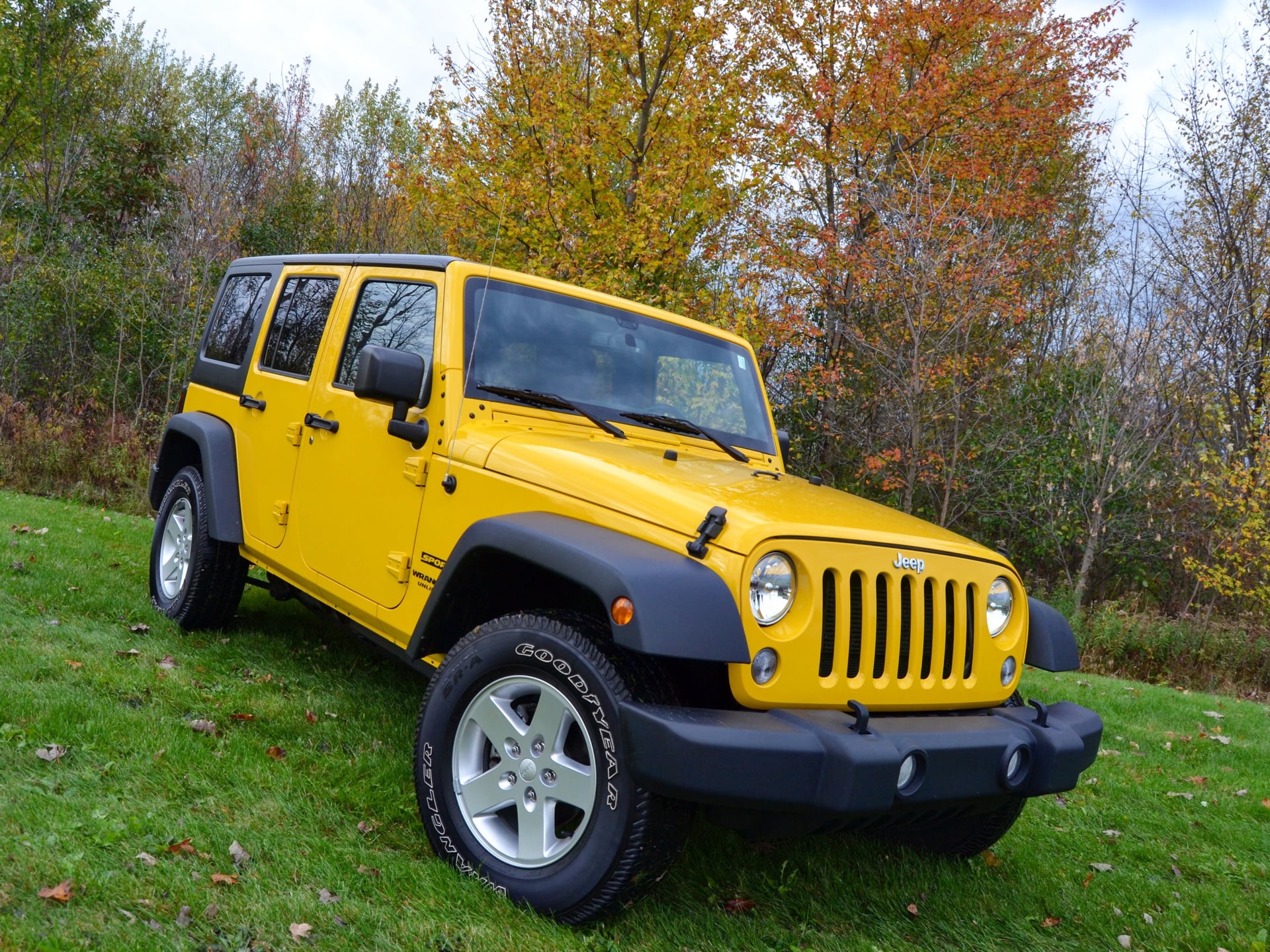 Yellerlife - JKU photo 24