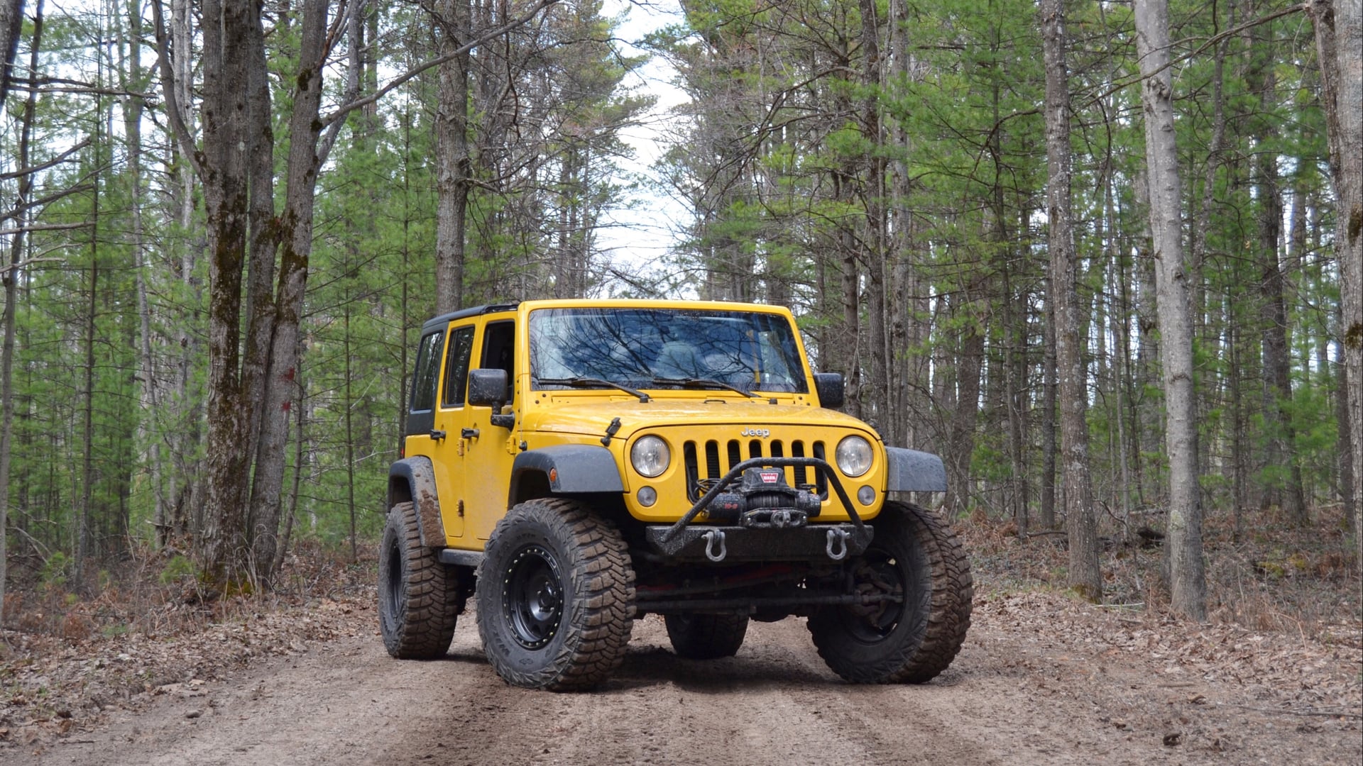 Yellerlife - JKU photo 21