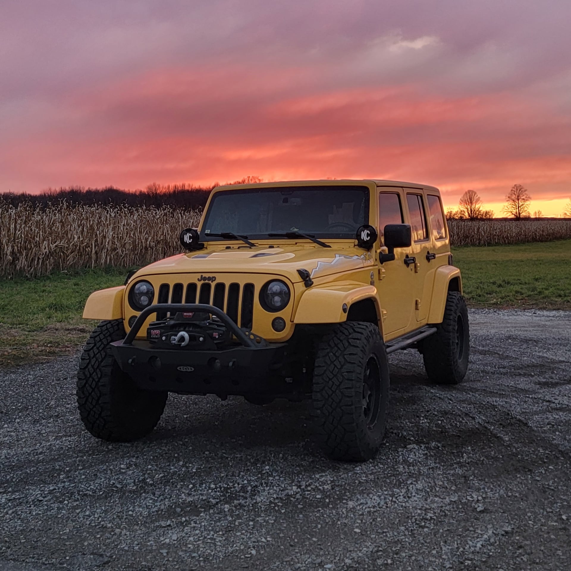 Baja Yellow X photo 1