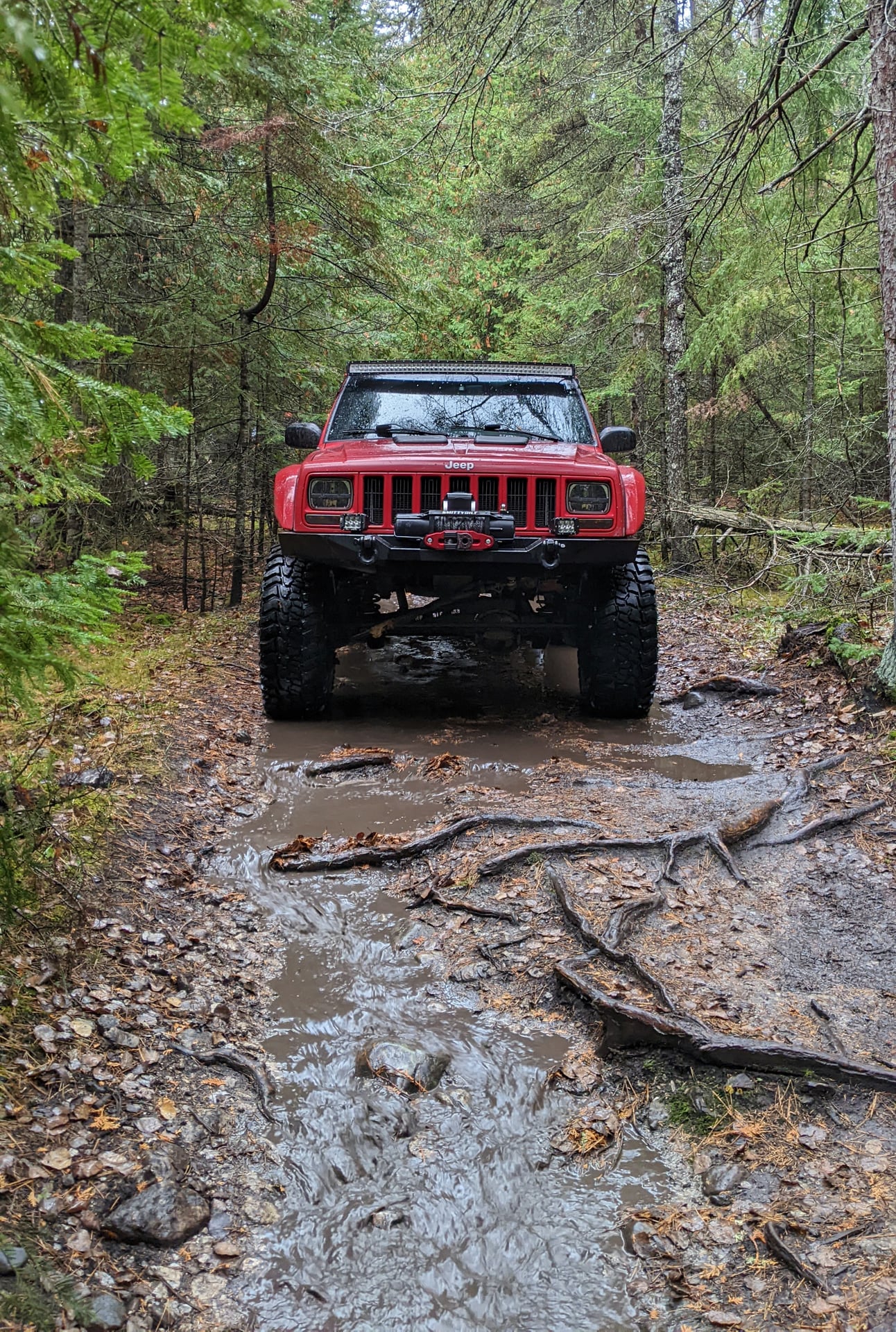 Lumberjack XJ photo 10