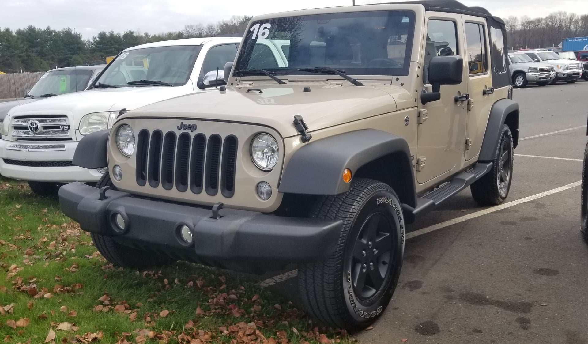 Grizzly_JKU photo 27