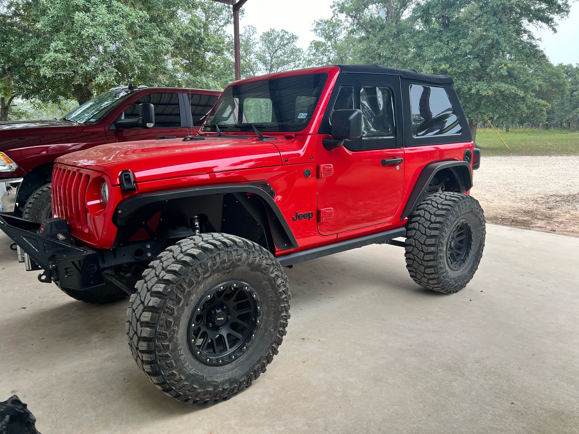 Rexy the JL photo 27