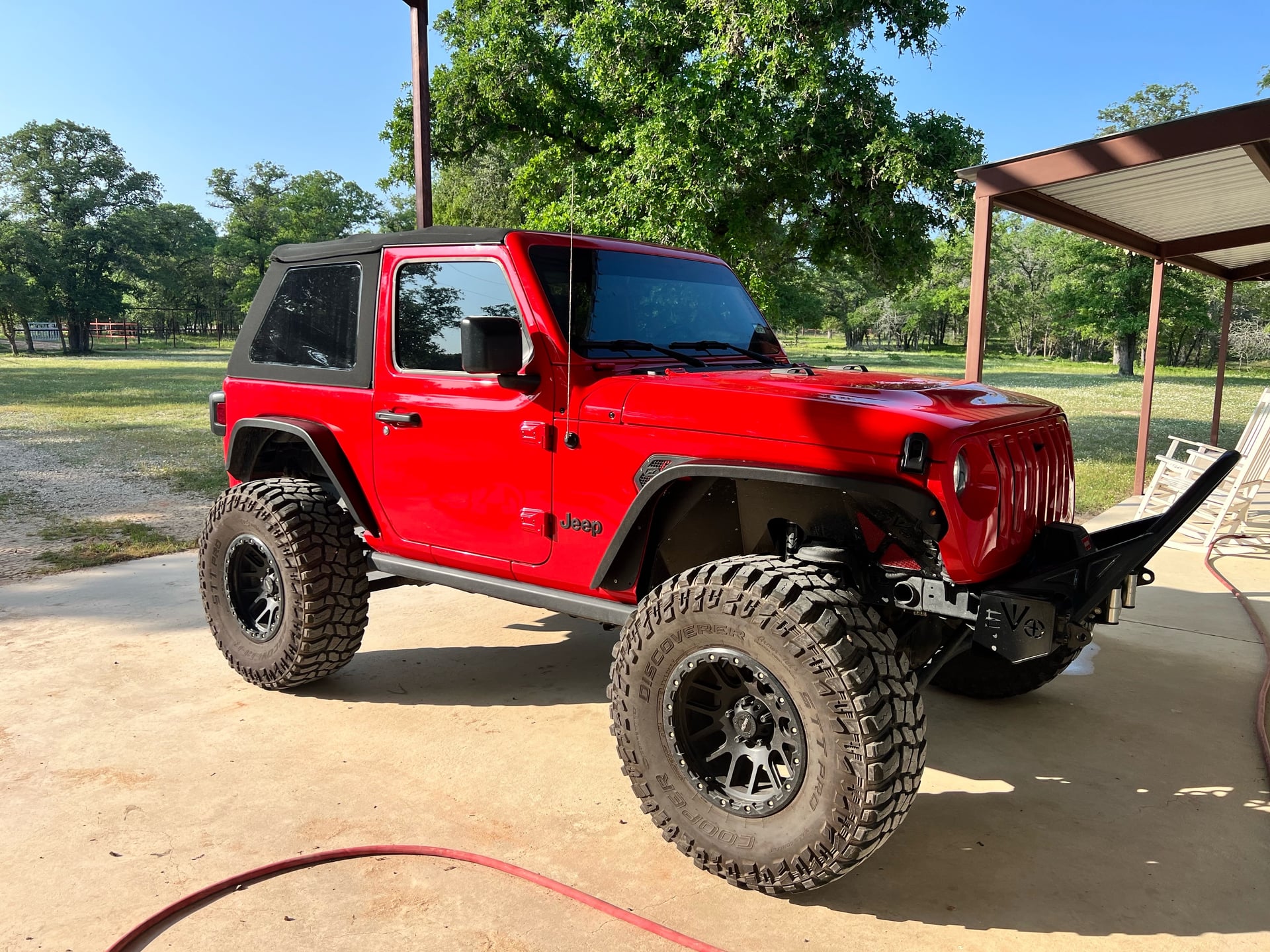 Rexy the JL photo 30