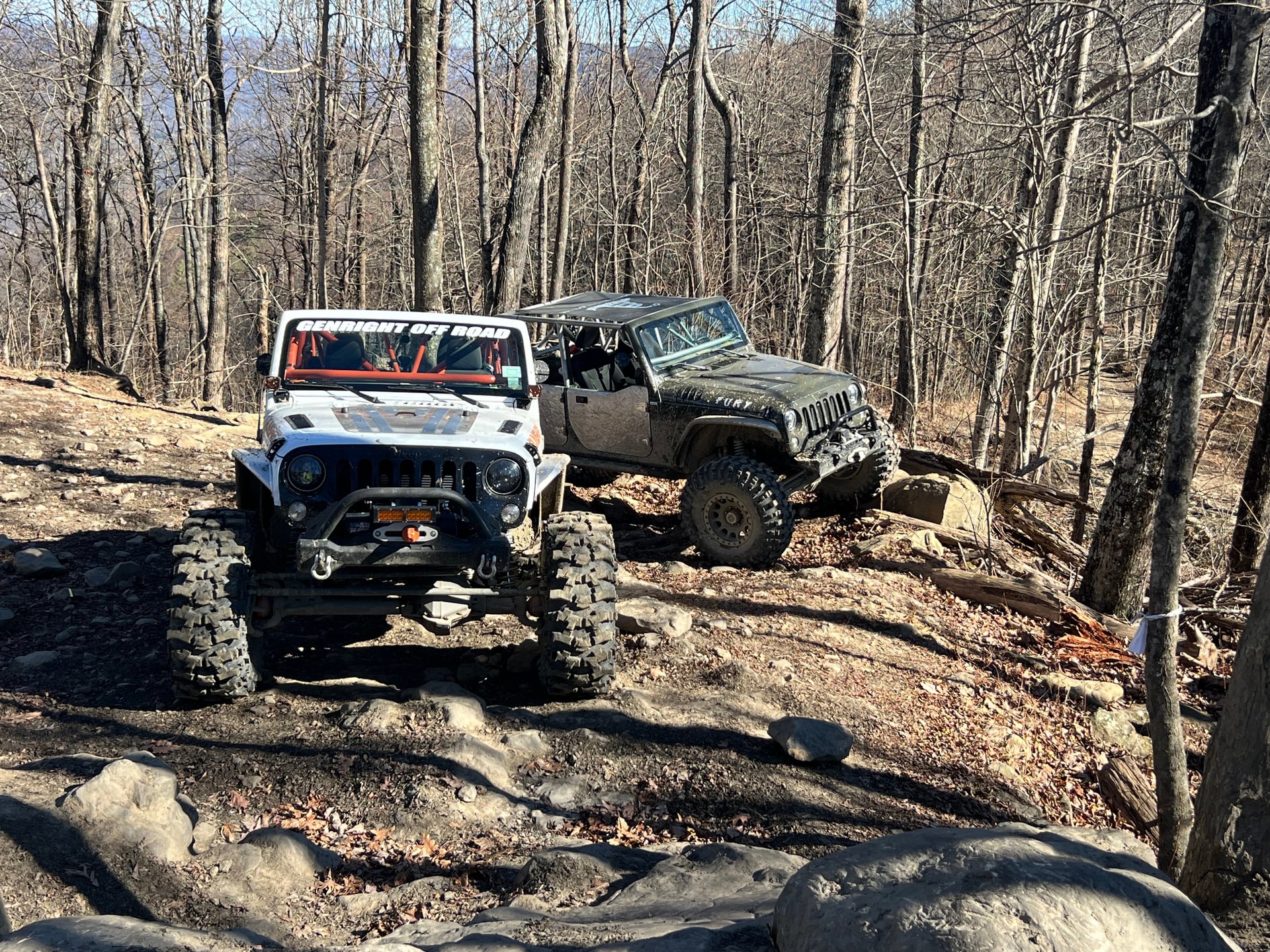 JK Punisher Elite photo 18