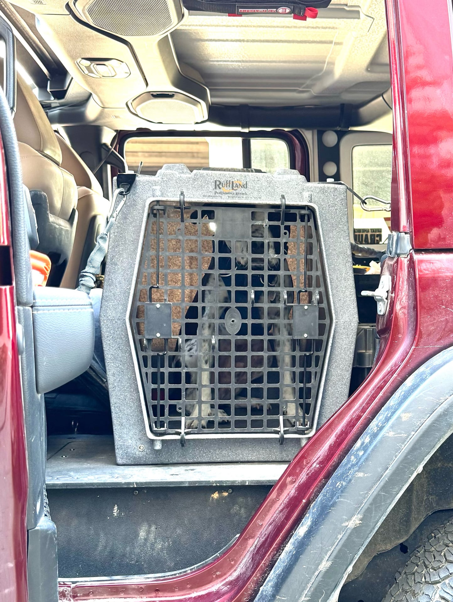 donmontalvo photo 19