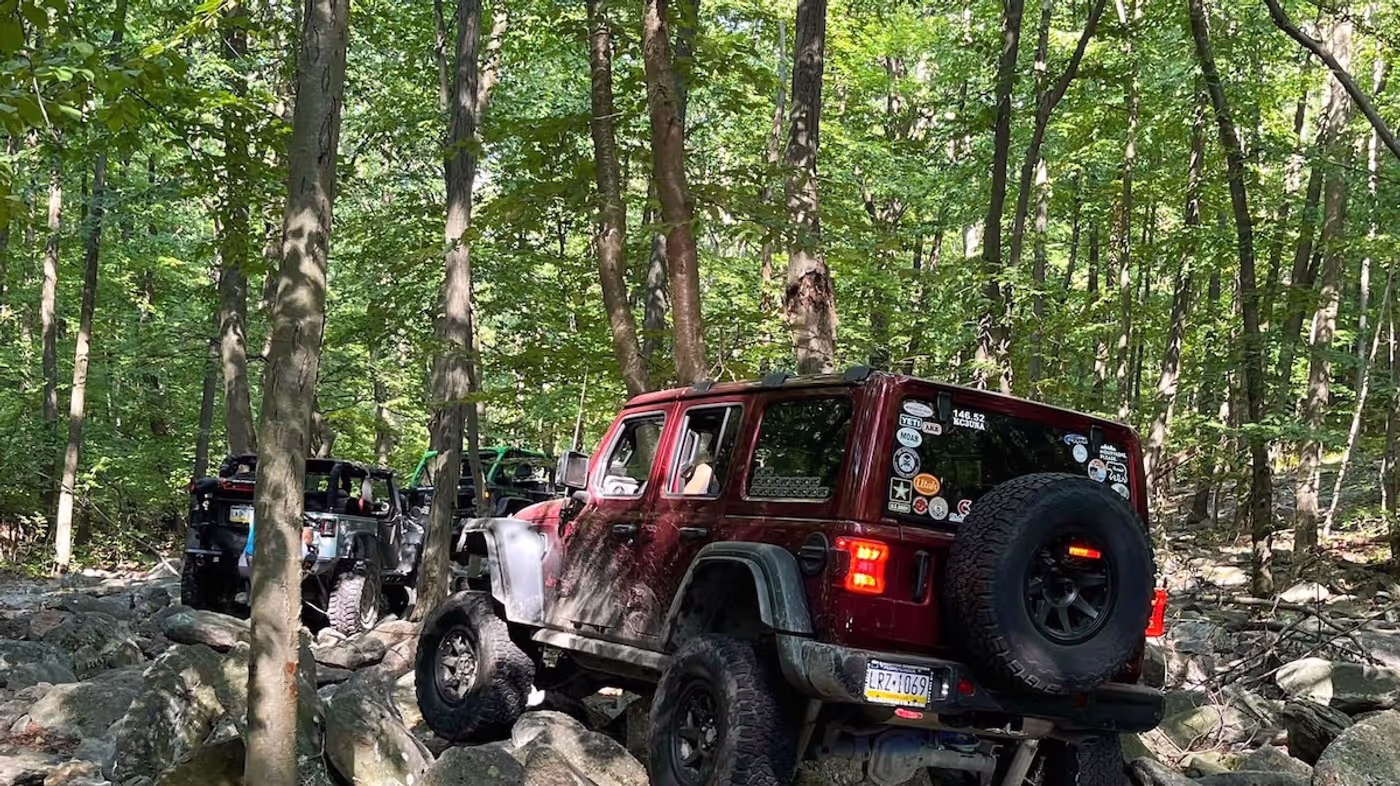 donmontalvo photo 10